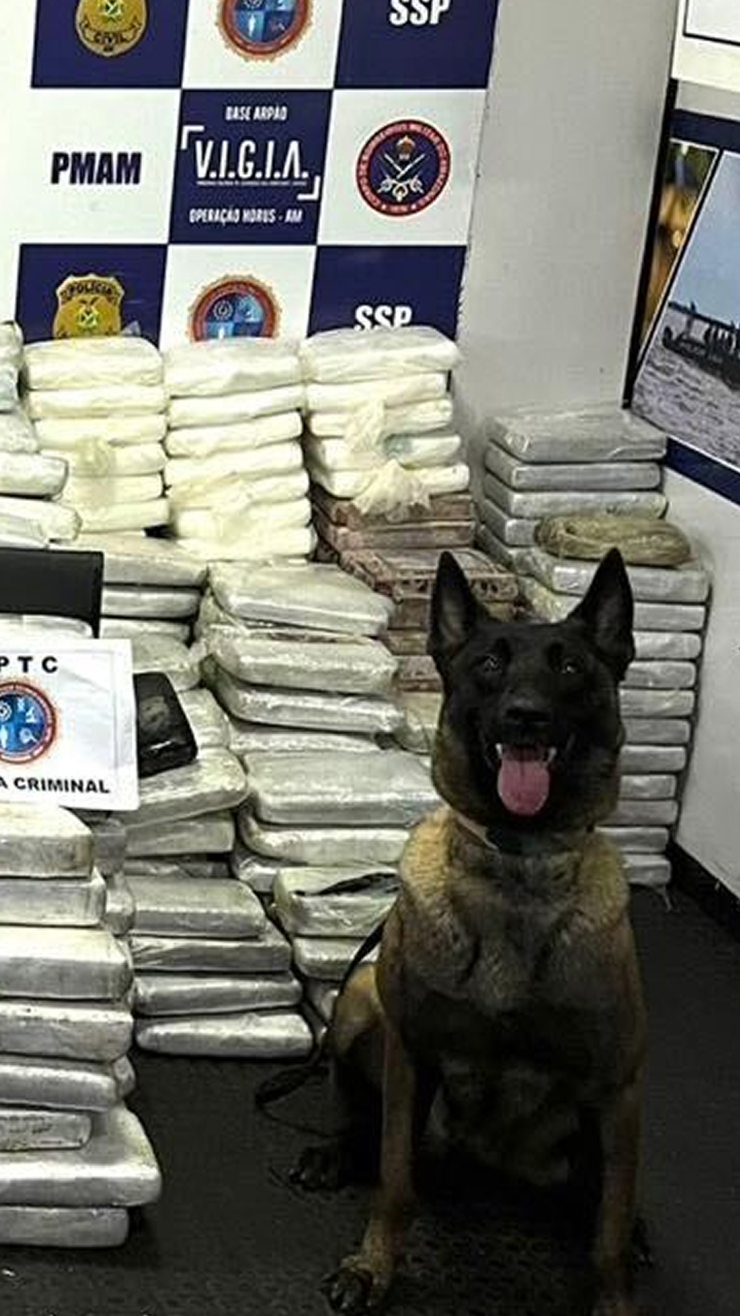 NVIDIA CORP(NASDAQ:NVDA) stock News