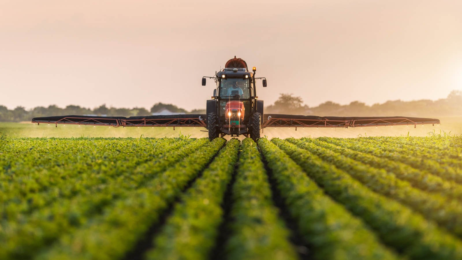 The Benefits of Implementing Automated Solutions for Agriculture Trading Processes