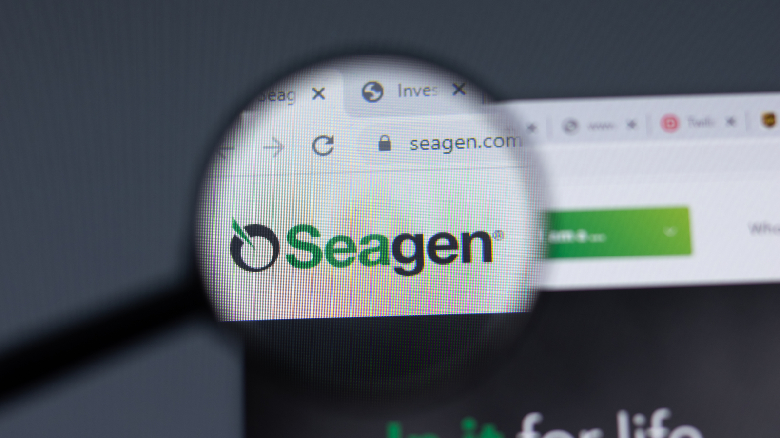 Сиджен. Радио SEAGEN.