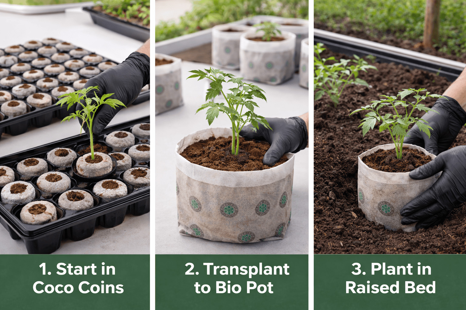 GrowGeneration’s Char Coir Introduces Next-Generation Propagation System to Enhance Cultivation Performance