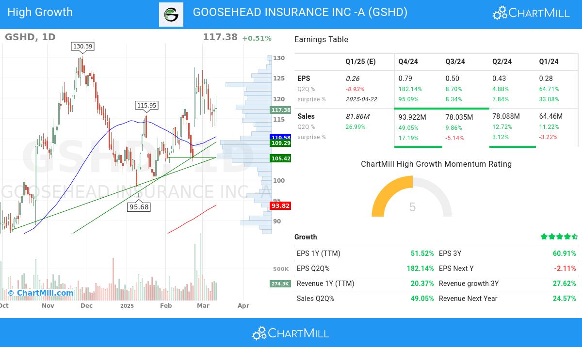 Minervini stocks image
