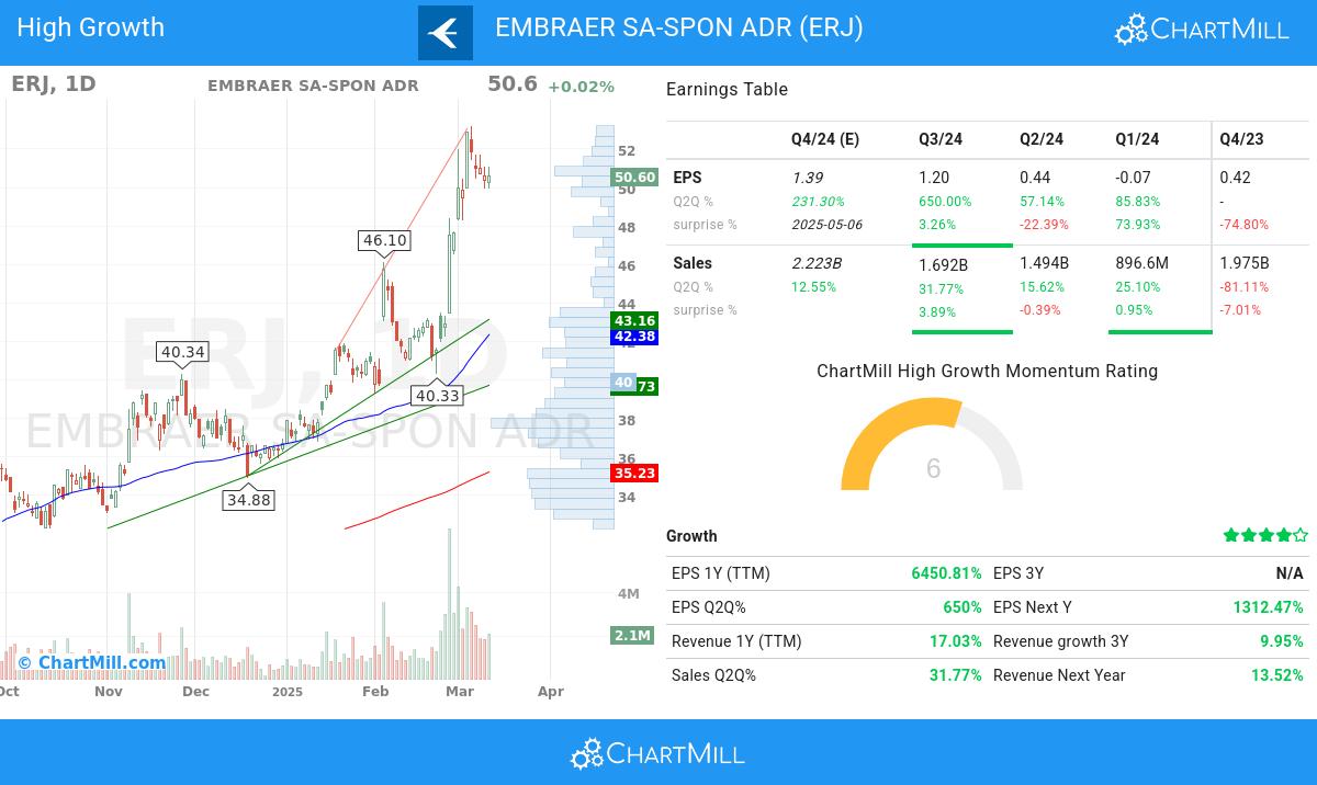 Minervini stocks image