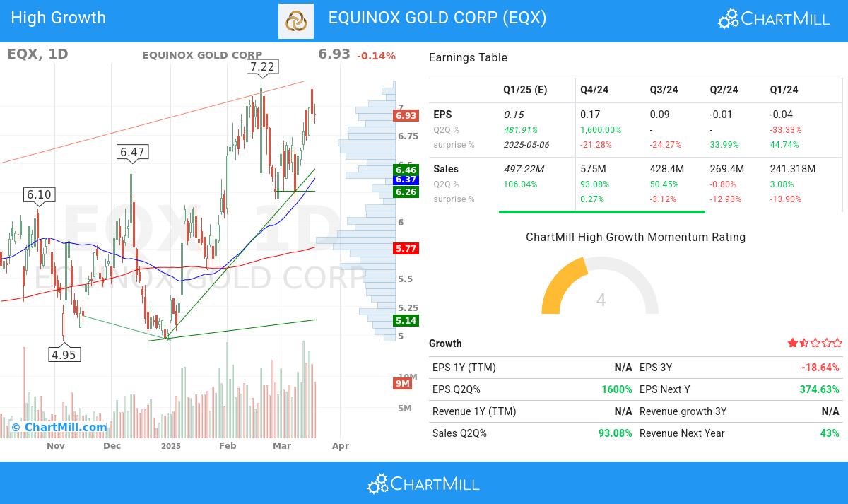 Minervini stocks image