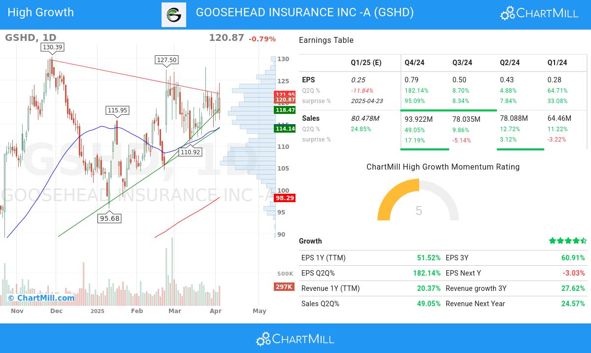 Minervini stocks image