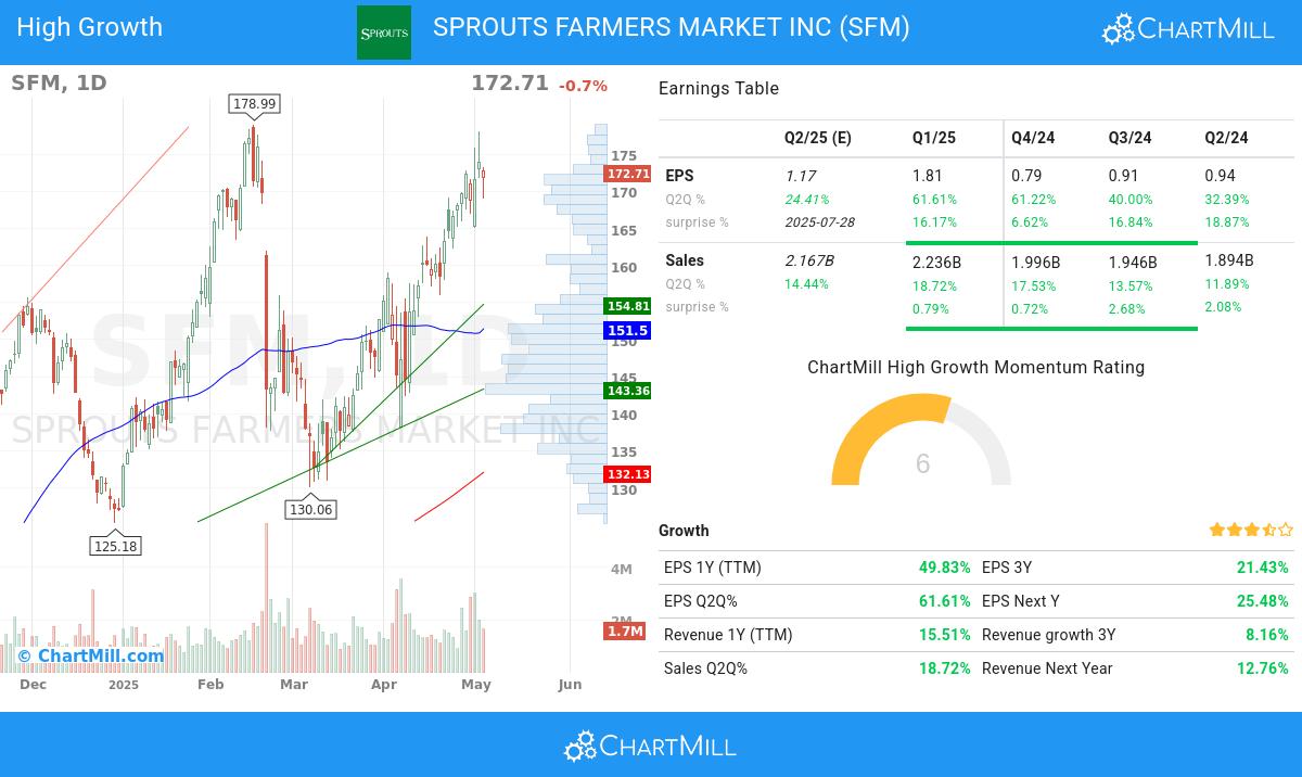 Minervini stocks image