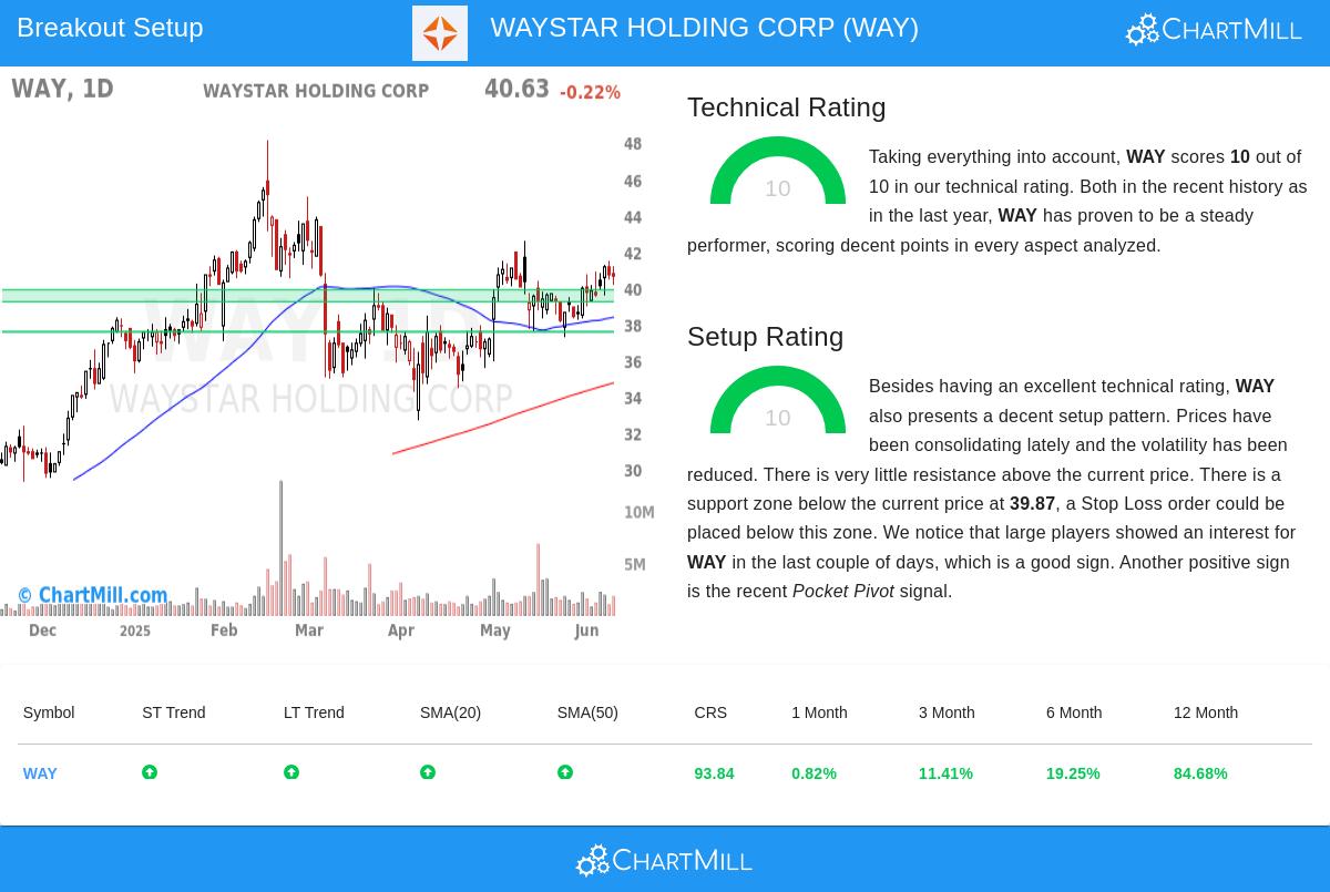 WAYSTAR HOLDING CORP stock chart