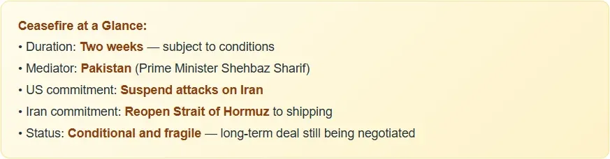 Broadcom's Big AI Moment