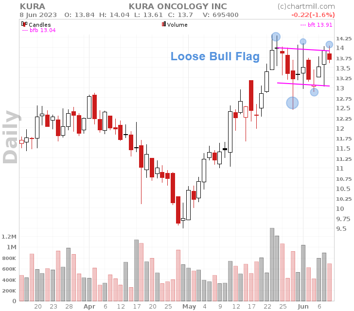 loose bull flag pattern