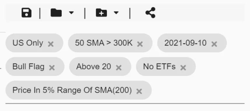 bull flag screening filters 